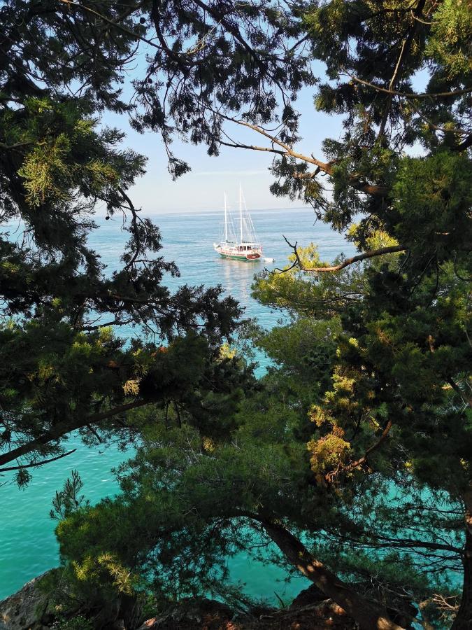 Langust - Free Parking * Sveti Stefan